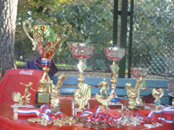 ����� ����������� ����� 2011
